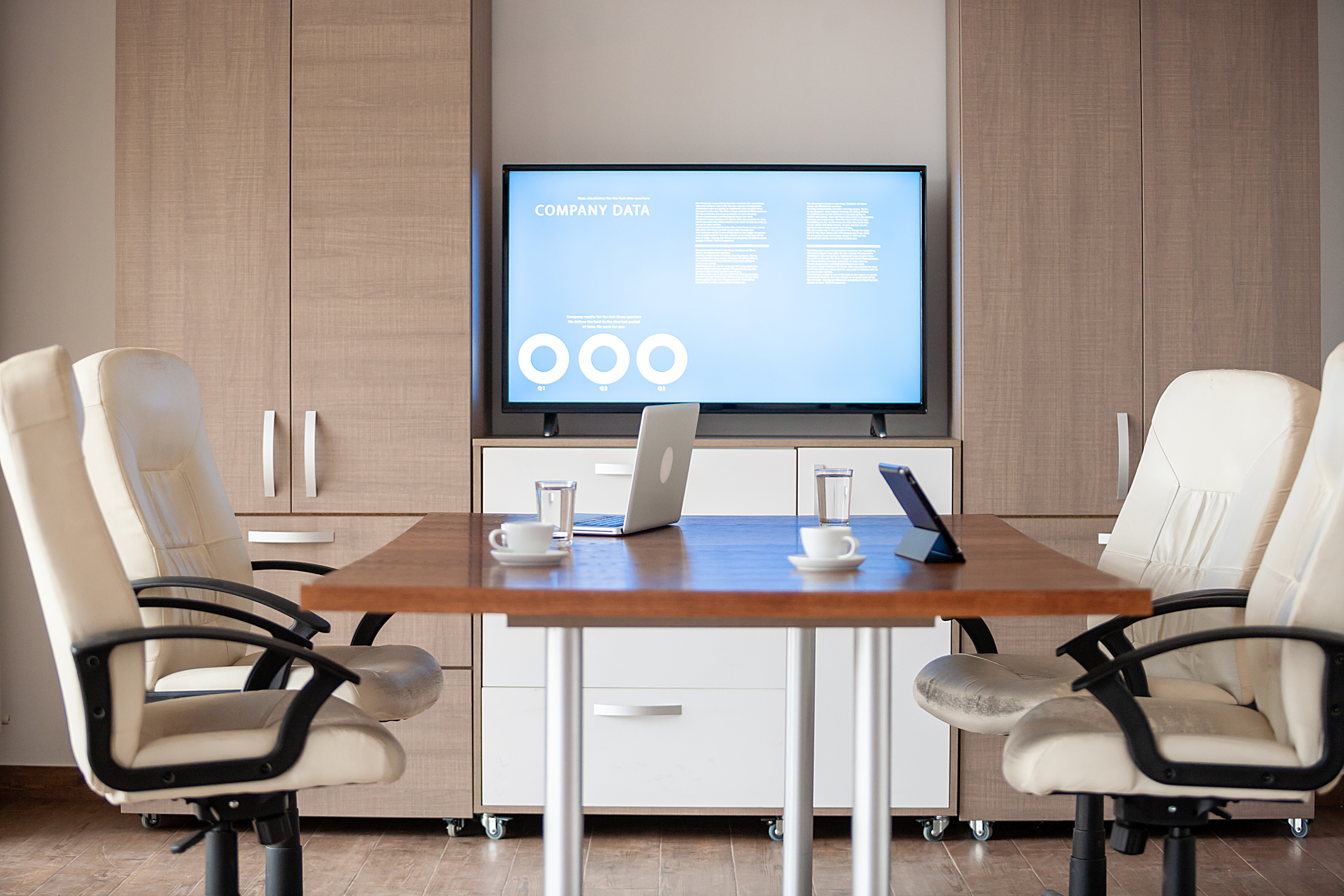TerraOptixx modern conference room with business analytics on screen